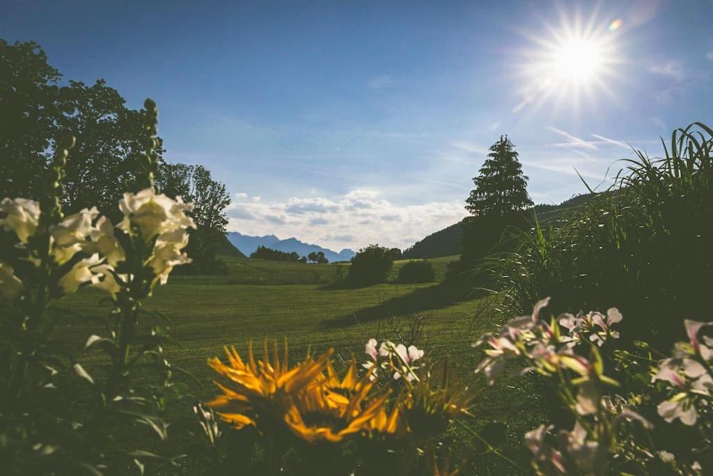 Fritzis Alpenidyll „Sommertraum & Winterromantik” Samerberg Exterior photo